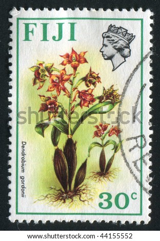 Fiji Tropical Flowers