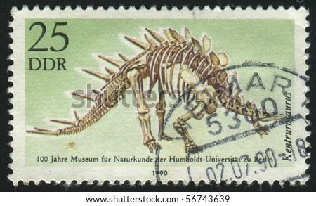 GERMANY- CIRCA 1990: stamp printed by Germany, shows  Dicraeosaurus Kentrurosaurus, circa 1990.