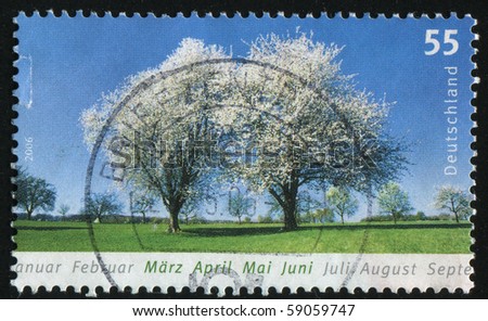 GERMANY - CIRCA 2006: stamp printed by Germany, shows tree Spring, circa 2006.