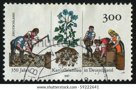 GERMANY- CIRCA 1997: stamp printed by Germany, shows Cultivation of Potatoes in Germany, circa 1997.