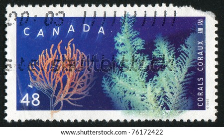 CANADA - CIRCA 2002: stamp printed by Canada, shows Corals, North Atlantic Giant Orange Tree, circa 2002