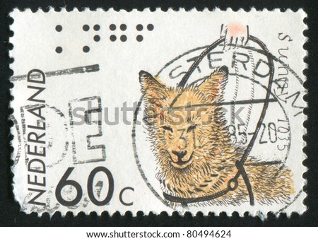 NETHERLANDS - CIRCA 1985: stamp printed by Netherlands, shows Sunny, first guide dog, circa 1985