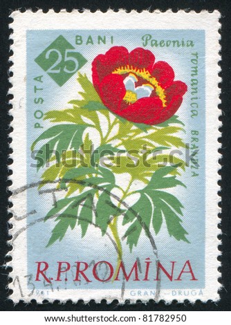 ROMANIA - CIRCA 1961: stamp printed by Romania, show flower Peony, circa 1961.