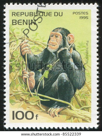 BENIN - CIRCA 1995: stamp printed by Benin, shows Pan troglodytes, circa 1995.