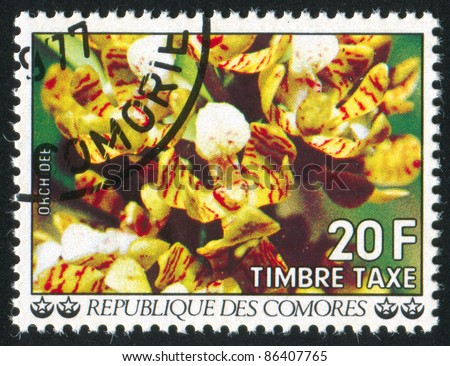COMORO ISLANDS - CIRCA 1977: stamp printed by Comoro islands, shows Orchids, circa 1977