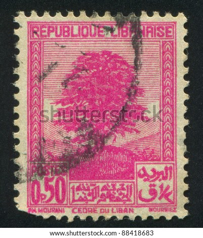 LEBANON - CIRCA 1925: stamp printed by Libanon, shows Cedar of Lebanon, circa 1925