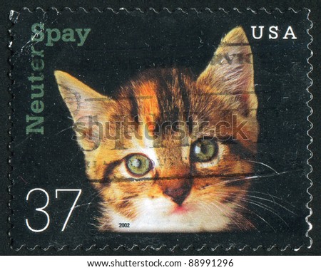 UNITED STATES - CIRCA 2002: stamp printed by United states, shows cat, circa 2002
