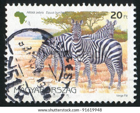 HUNGARY - CIRCA 1997: stamp printed by Hungary, shows zebras, circa 1997