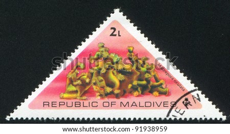MALDIVE ISLANDS CIRCA 1975: stamp printed by Maldive Islands, shows Zigzag coral, circa 1975