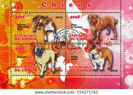 CONGO - CIRCA 2013: stamp printed by Congo, shows dog, circa 2013