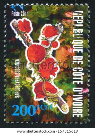 IVORY COAST CIRCA 2011: stamp printed by Ivory Coast, shows mushroom, circa 2011