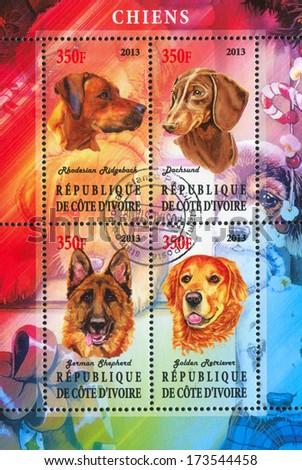 IVORY COAST - CIRCA 2013: stamp printed by Ivory Coast, shows dogs, circa 2013