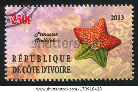 IVORY COAST - CIRCA 2013: stamp printed by Ivory Coast, shows starfish, circa 2013