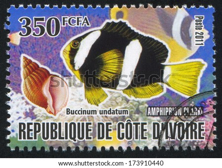 IVORY COAST - CIRCA 2011: stamp printed by Ivory Coast, shows fish, circa 2011