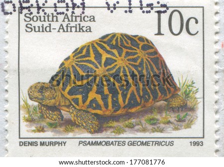 SOUTH AFRICA - CIRCA 1993: stamp printed by South Africa, shows Geometric tortoise, circa 1993