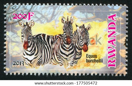 RWANDA - CIRCA 2013: stamp printed by Rwanda, shows Plains zebra, circa 2013