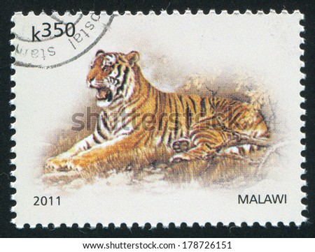 MALAWI - CIRCA 2011: stamp printed by Malawi, shows Tiger, circa 2011