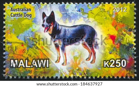 MALAWI - CIRCA 2012: stamp printed by Malawi, shows Australian Cattle Dog, circa 2012