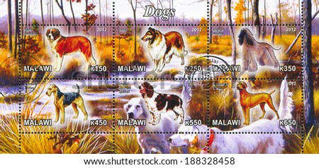 MALAWI - CIRCA 2012: stamp printed by Malawi, shows breed dogs, circa 2012