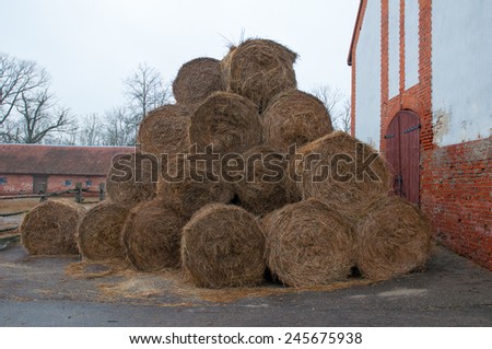 Straw bales on farmland. Ranch for breeding horses. Kaliningrad region. Russia.