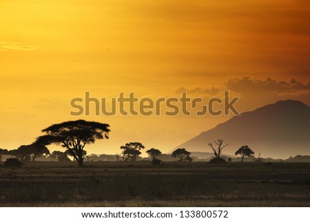 Beautiful Sunset In Kenya 01