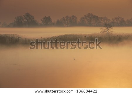 Magic landscape with mist on the lake at sunrise