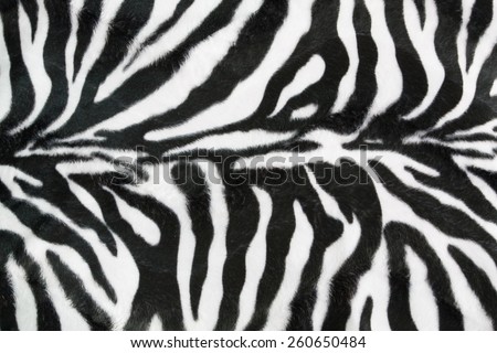 Zebra texture with beige white and black
