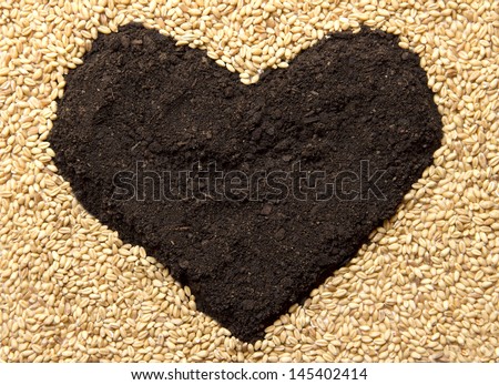 Wheat grains and earth heart