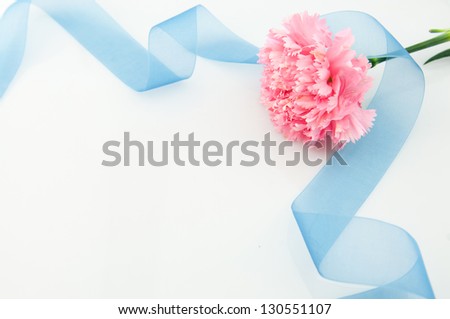 beautiful pink carnation with blue silk ribbon