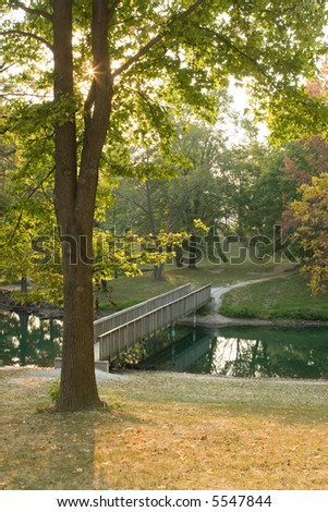 Fall day overlooking a pond and a bridge with the sun sparkling through the leaves