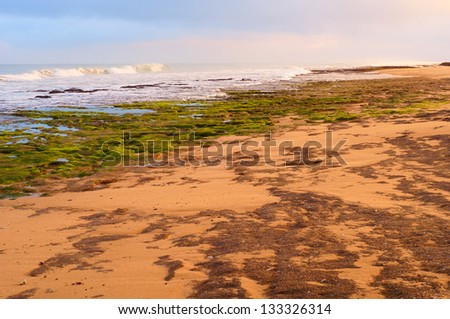 beautiful coast in western sahara