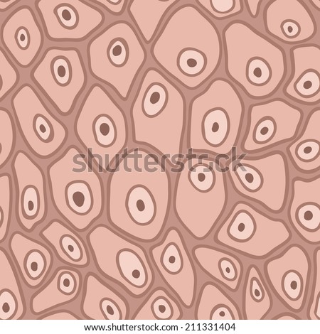 human skin cells stock photos human skin cells stock images alamy seamless pattern of the skin the microscope magnified human skin cells stock vector human skin cells stock photos human skin cells stock images alamy seamless pattern of the skin the microscope magnified human skin cells stock vector