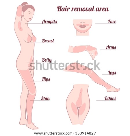 Female Fat Zones 61