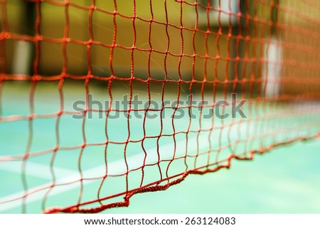 net and blue floor badminton court