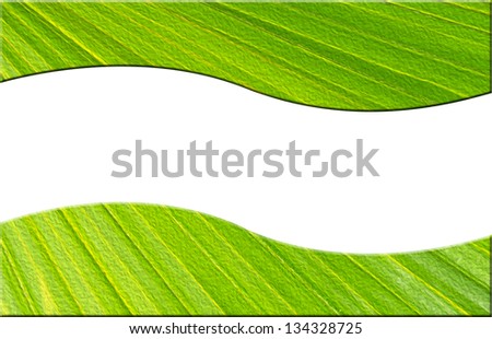 Embossed oil paint leaf texture border with curvy white space in the middle