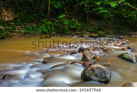 Silky smooth water stream in the jungle