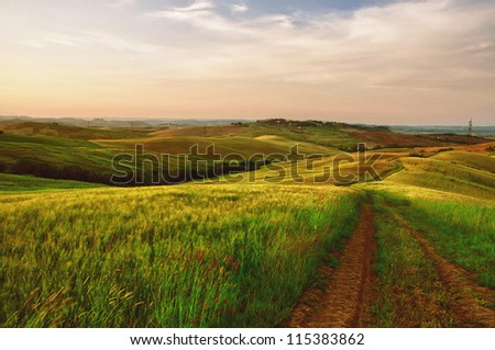 Tractor lines in a green field