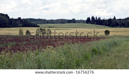 Rural landscape, cloudy weather, seaside of Latvia