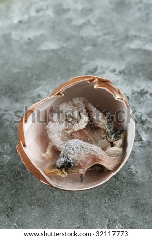 frozen life in eggs