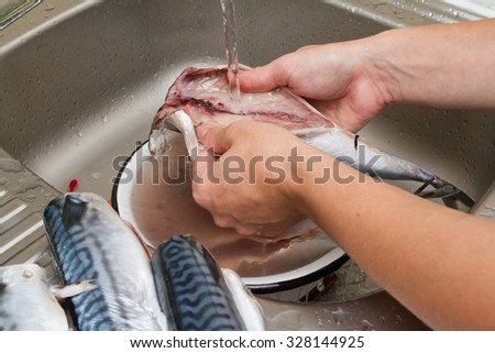 Woman chef cleans fish mackerel in water in the kitchen sink.
