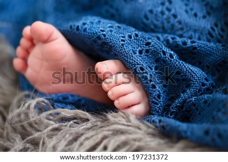 The beautiful newborn feet during sleep