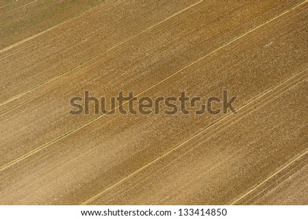 Parallel lines-aerial view of a cultivated land in Tuscany,Italy