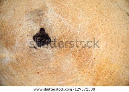 texture wood butcher block background