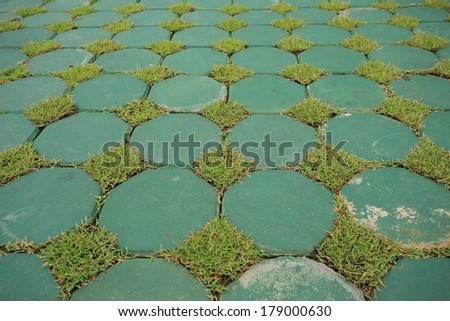 design of eco flooring use from cement block and green grass