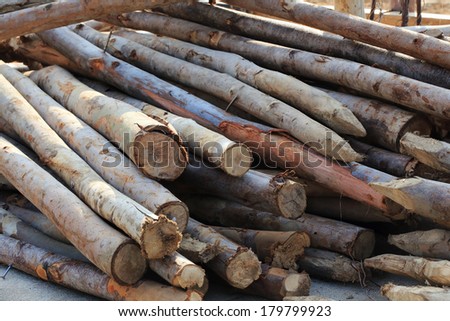 Pile of old wood sticks