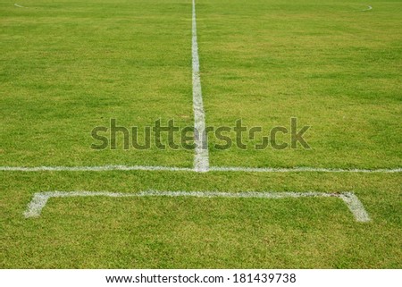 green grass soccer field stadium, sport game background for design