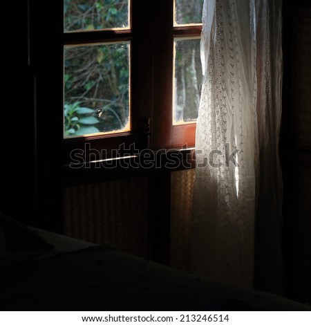 luxury curtain at the window in morning