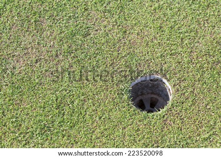 golf hole on green grass, golf course