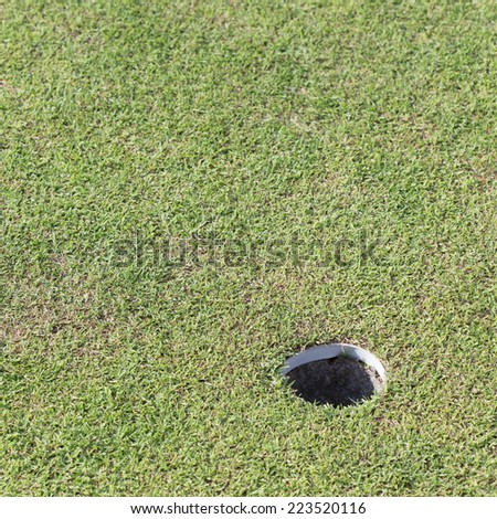 golf hole on green grass, golf course
