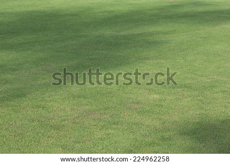 green grass field of sport playing area